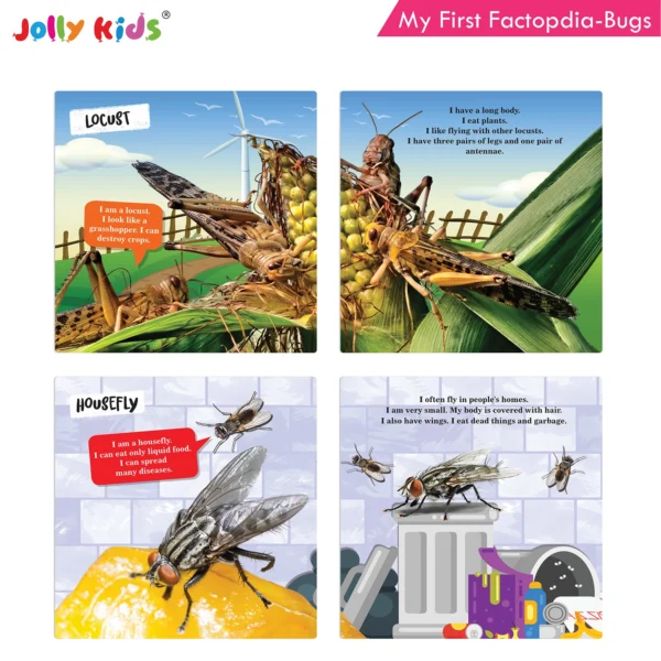 Jolly Kids My First Factopedia: Bugs-Dinosaurs-Plants-Earth 4 in 1 Book for Kids Ages 3-8 Years| Fact of Butterfly, Spinosaurus, Learn About Seeds, Beauty of Flowers, Blue Planet, Mountain - Image 3