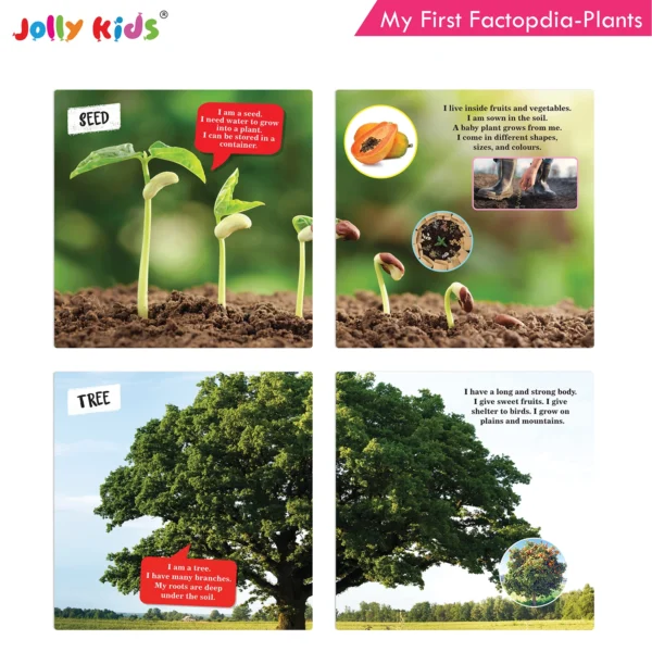 Jolly Kids My First Factopedia: Bugs-Dinosaurs-Plants-Earth 4 in 1 Book for Kids Ages 3-8 Years| Fact of Butterfly, Spinosaurus, Learn About Seeds, Beauty of Flowers, Blue Planet, Mountain - Image 6