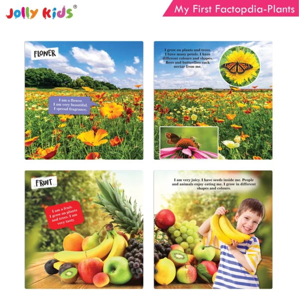 Jolly Kids My First Factopedia: Bugs-Dinosaurs-Plants-Earth 4 in 1 Book for Kids Ages 3-8 Years| Fact of Butterfly, Spinosaurus, Learn About Seeds, Beauty of Flowers, Blue Planet, Mountain - Image 7