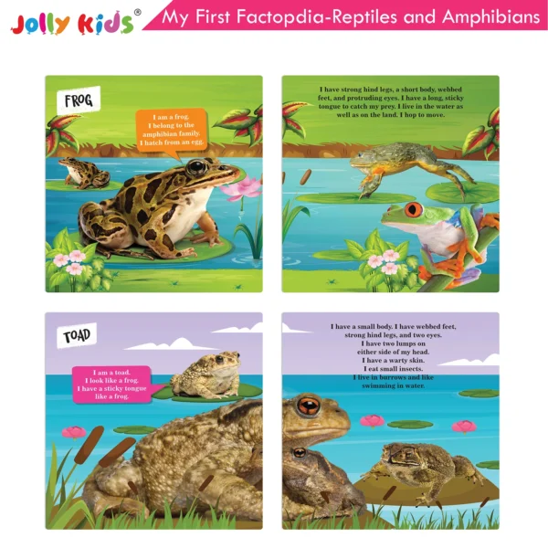 Jolly Kids My First Factopedia: Oceans, Apes and Monkeys, Reptiles and Amphibians, and Wild Animals 4 in 1 Book for Kids Aged 3-8 Years| Learn About Sea Creature, Mandrill, Chameleon, Whale, Lion - Image 6