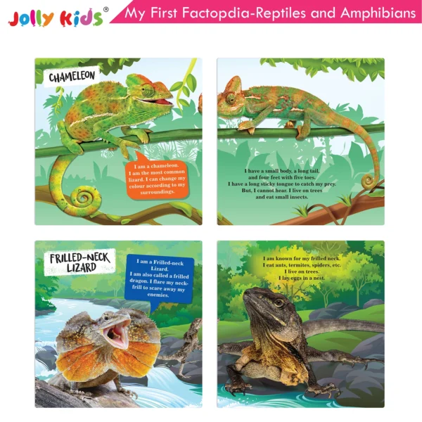 Jolly Kids My First Factopedia: Oceans, Apes and Monkeys, Reptiles and Amphibians, and Wild Animals 4 in 1 Book for Kids Aged 3-8 Years| Learn About Sea Creature, Mandrill, Chameleon, Whale, Lion - Image 7